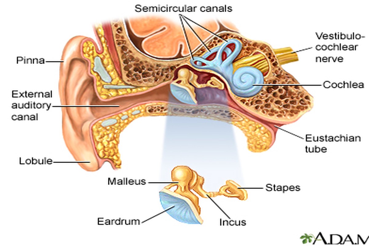 Ear Pain With a Sore Throat