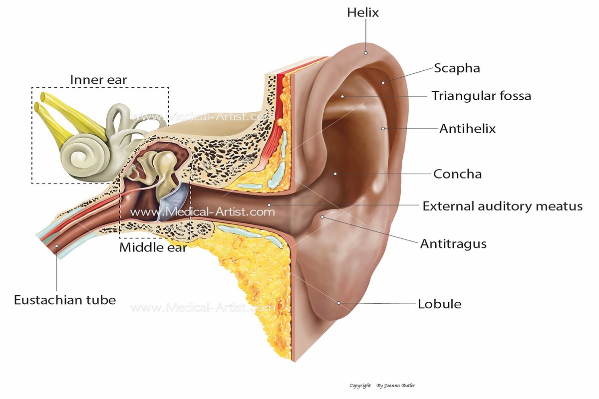 Ear Pain With a Sore Throat
