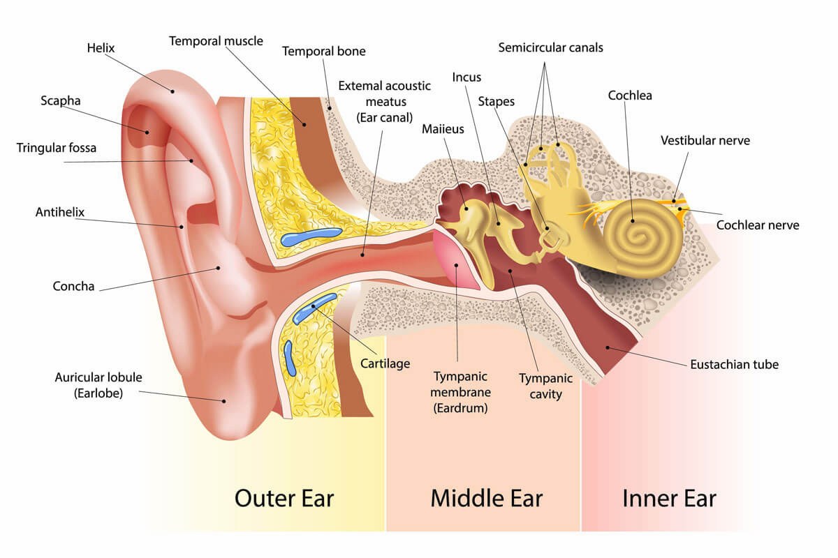 Ear Pain After a Shower