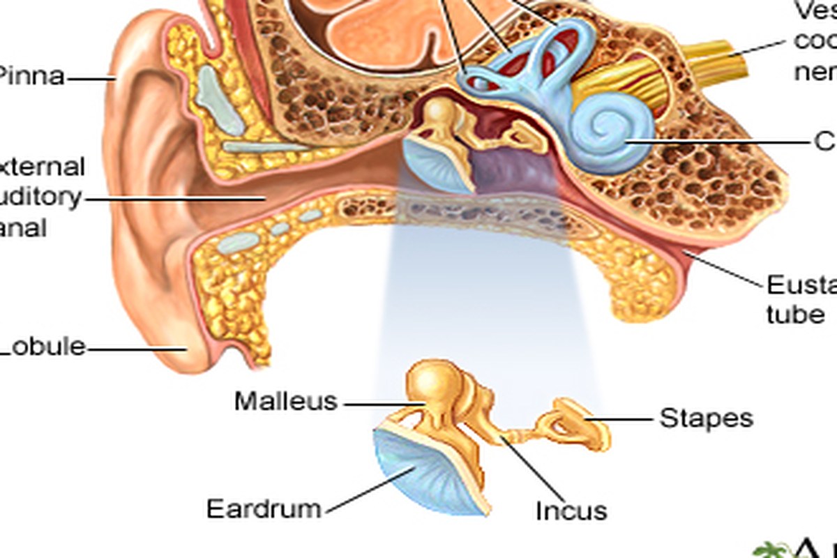 Ear Pain After a Shower