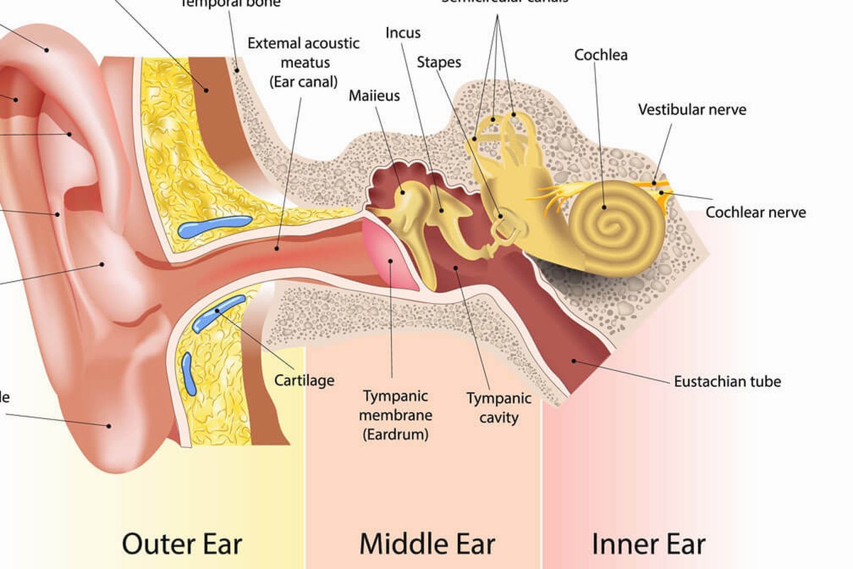 Ear Pressure After a Flight