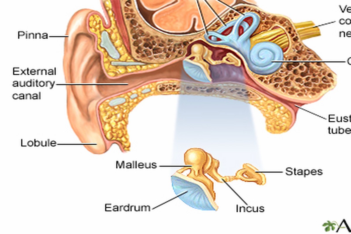Earwax and Ear Pressure